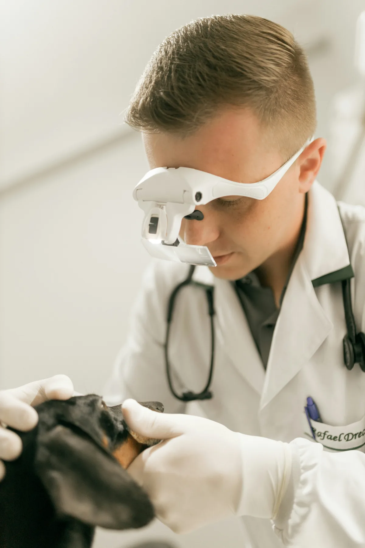 Veterinarias